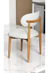 6 Adet POLO SANDALYE CAFE Restaurant PROJE DAYANIKLI GARANTİLİ İSKELET-1