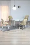 ARVEN Beyaz MDF 70x110 Sabit Mutfak Masası Takımı Beyaz Metal Ayak 4 Krem Sandalye-0