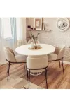 Mutfak Sandalyesi 6'lı Set Salon Sandalyesi Papel Sandalye Çift Papel Sandalye Lüks Sandalye Morena-0