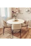 Mutfak Sandalyesi 6'lı Set Salon Sandalyesi Papel Sandalye Yemek Odası Sandalye Lüks Sandalye Morena-0