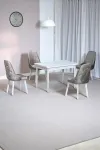 Still Beyaz Sunta 70x110 Sabit Mutfak Masası Takımı Beyaz Metal Ayak 4 Cappucino Sandalye